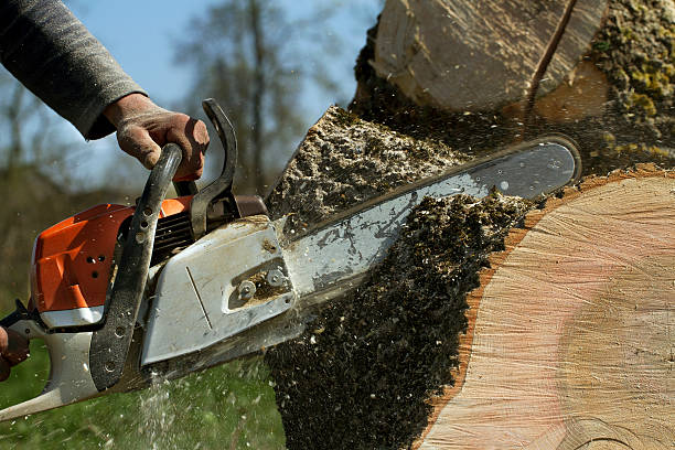 Best Mulching Services  in Buckhorn, CA